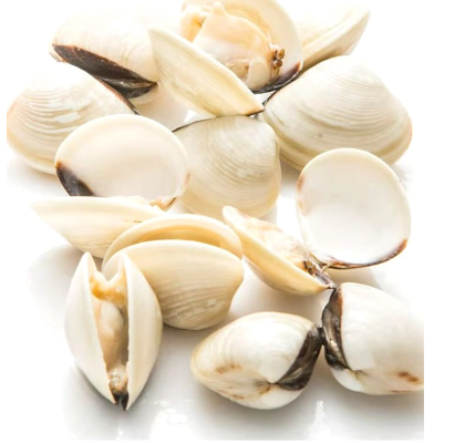 Clams White Fresh