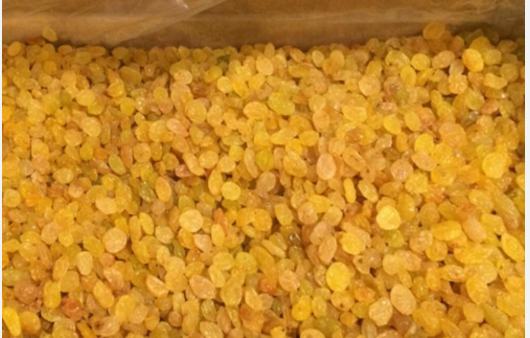  Golden Raisins Premium Quality